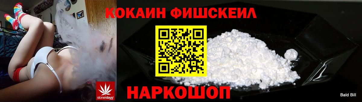 Кокаин Fish Scale  Куйбышев  наркошоп  Кокаин 99% 