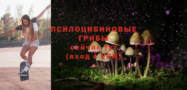 PSILOCYBIN Вяземский