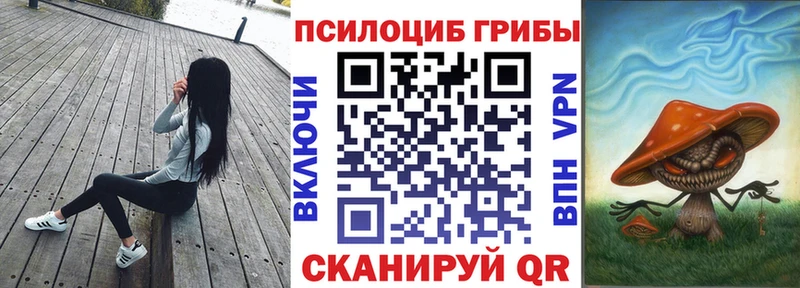 продажа наркотиков  Куйбышев  Псилоцибиновые грибы мухоморы 