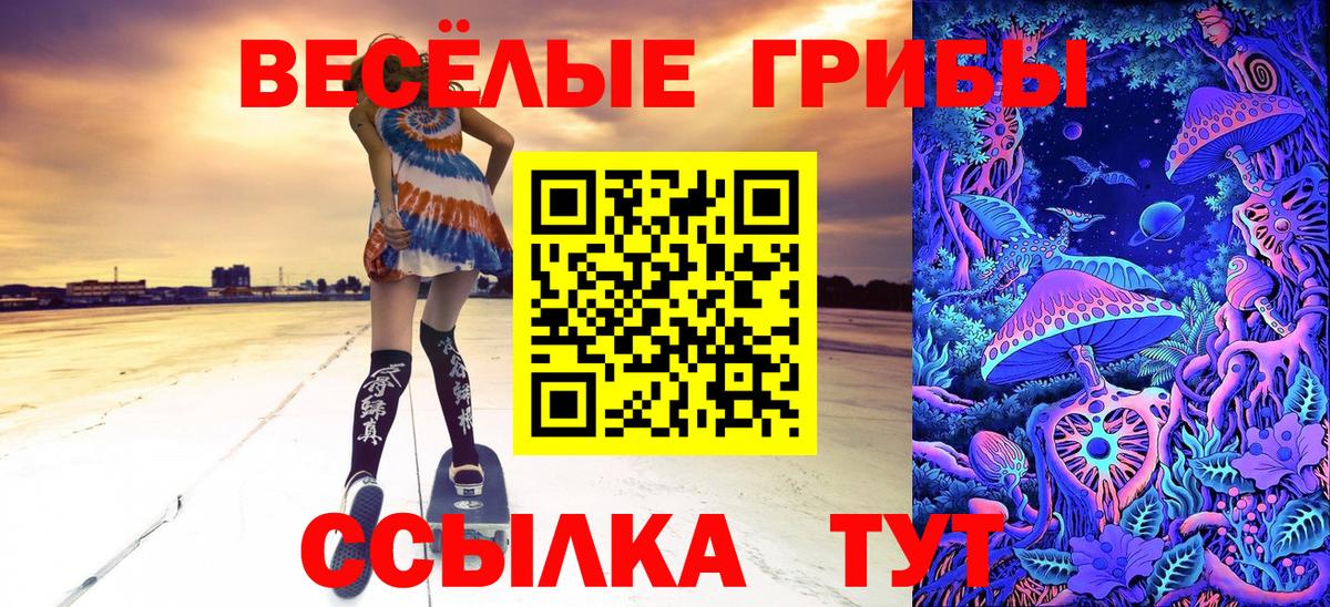 Псилоцибиновые грибы Psilocybe  Вход с VPN  Куйбышев 