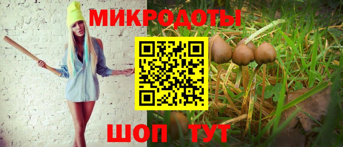 Галлюциногенные грибы Magic Shrooms  Псилоцибиновые грибы ЛСД  Куйбышев 